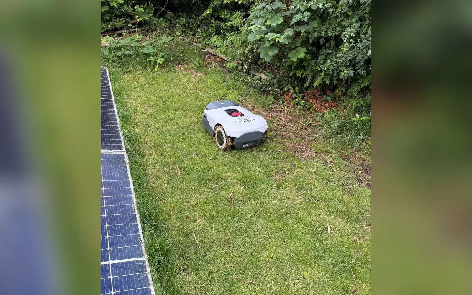 Anthbot Genie 3000 in onze eigen tuin: eerste indruk met foto en video